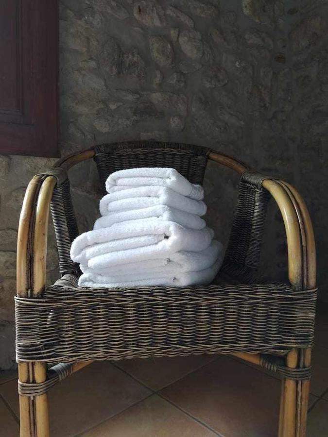 Mas Planella Casa Rural Mieres  Zewnętrze zdjęcie